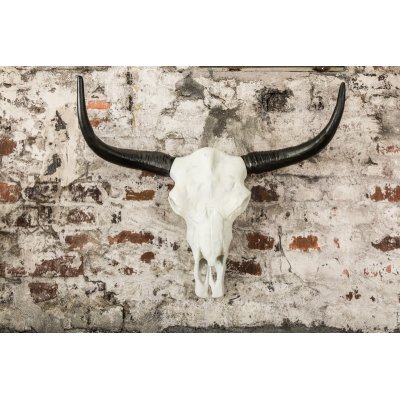  Ozdobne poroże EL Toro 70 cm