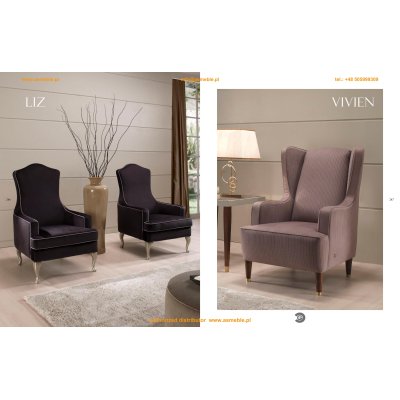  FOTO KATALOG PRODUCENTA 'GOLDCONFORT'