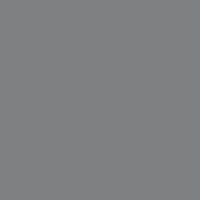  dusty_grey_RAL7037_matt-lacquers