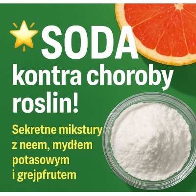 🌟 SODA kontra choroby roślin! Sekretne mikstury z neem, mydłem potasowym i grejpfrutem
